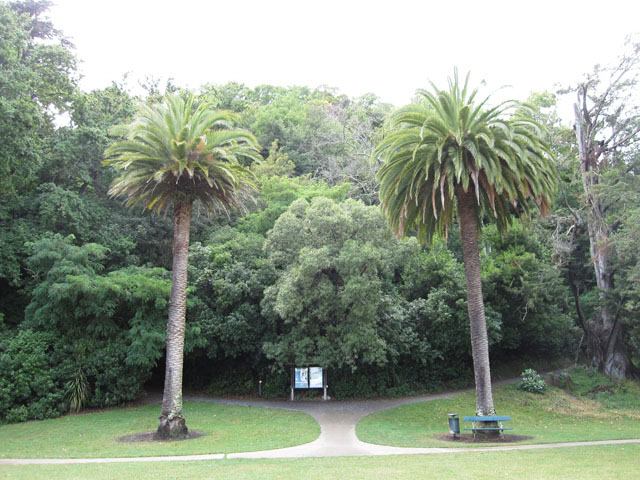 j[W[h̒S_iThe Centre of New Zealandjւ̓