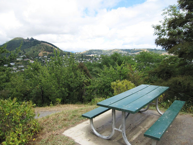 j[W[h̒S_iThe Centre of New Zealandj֌rɂxe