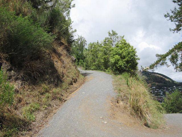 j[W[h̒S_iThe Centre of New Zealandjւ̓