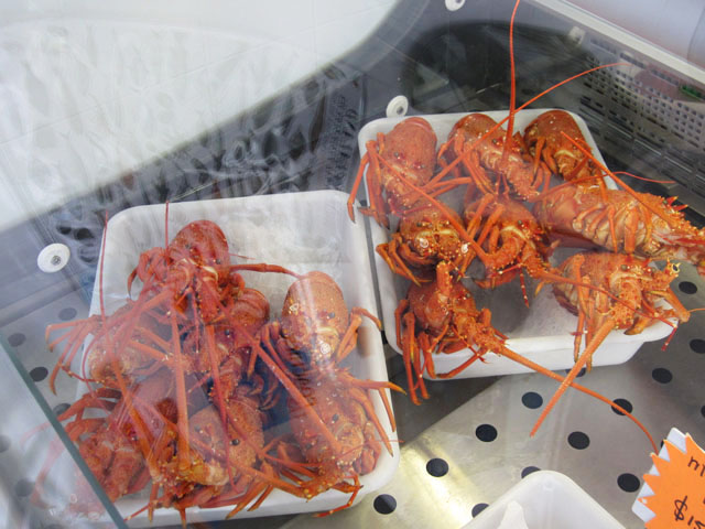 JbYNCtBbViCods & Crayfishj̃NCtBbV