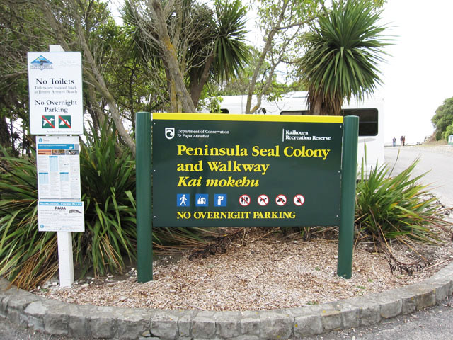 yjVEIbgZCcnƎUiPeninsula Seal Colony and Walkwayj̊Ŕ