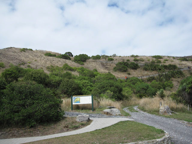 yjVEUiPeninsula Seal Colony and Walkwayj̓