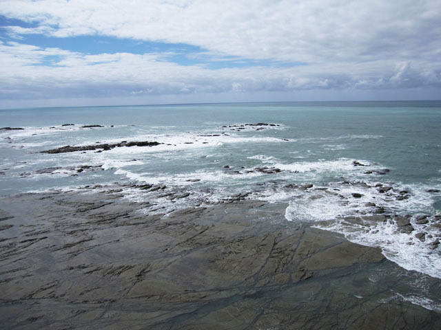 JCREɂyjVEU̓W]䂩猩iF1iPeninsula Seal Colony and Walkwayj