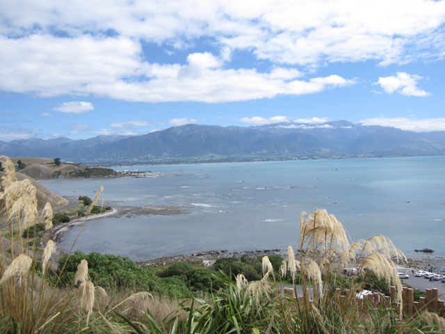 JCREɂyjVEU̓W]䂩猩iF2iPeninsula Seal Colony and Walkwayj