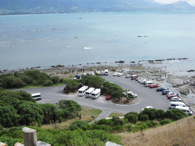 ԏiPeninsula Seal Colony and Walkwayj