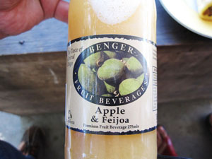 アップル&フェイジョア(Apple&Feijoa)のジュース
