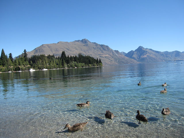 NB[Y^EiQueenstownjɂ郏JeBv(Lake Wakatipu)̓ʂƃJ