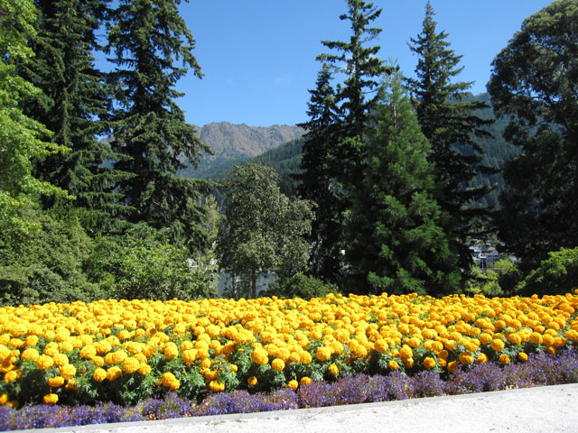 NB[Y^EEK[f iQueenstown Gardensj̉