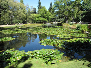 クィーンズタウン・ガーデン（Queenstown Gardens） 