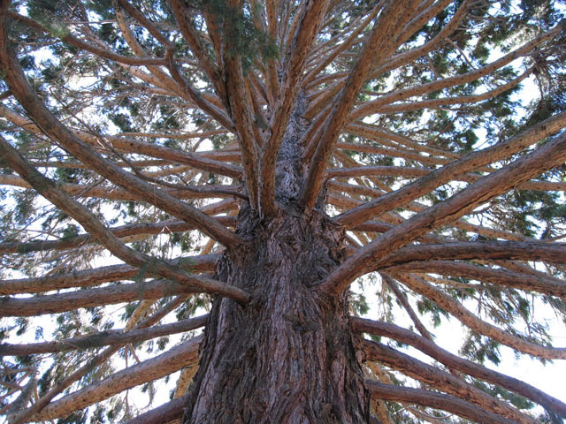 NB[Y^EEK[f iQueenstown Gardensj̑傫Ȗ