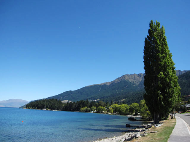 JeBvΔȁiWakatipu Lakej̃j[W[h炢iF