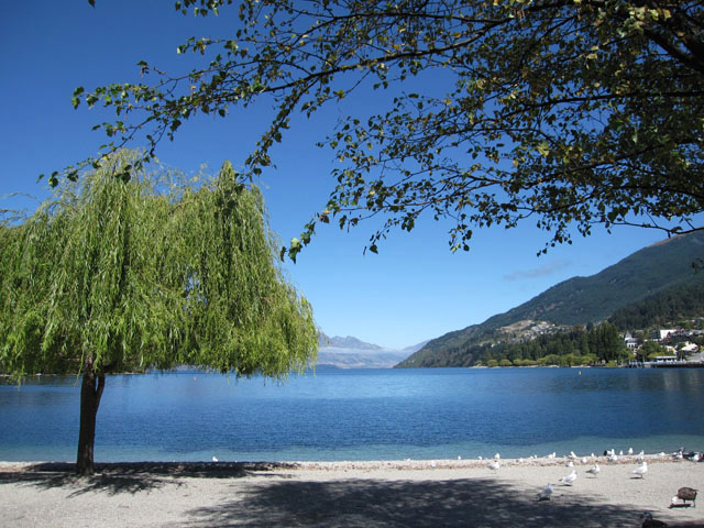 NB[Y^EiQueenstownjɂ郏JeBv΁iLake Wakatipuj