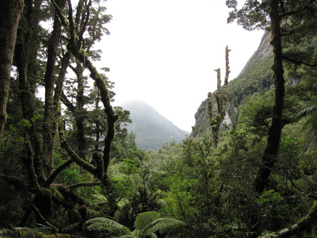UELYiThe ChasmǰiF