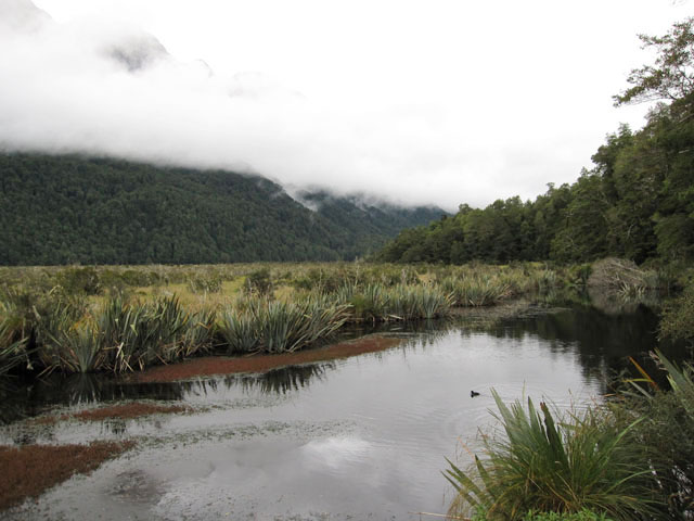 ~[ iMirror LakejɉfiF