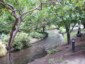 エイボン川2