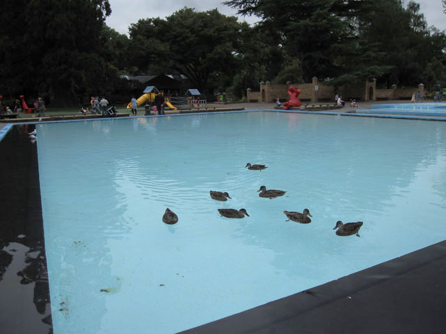 nO[iHagley Parkj̃v[ŉjJ